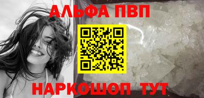 индика Гатчина