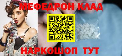 индика Гатчина