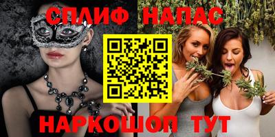 индика Гатчина