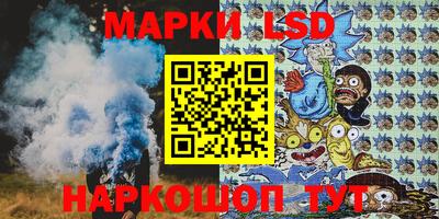индика Гатчина