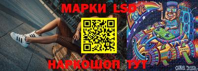 индика Гай