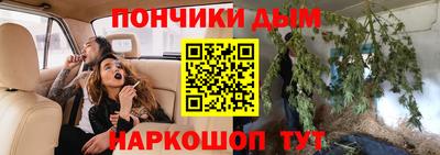 сатива Гагарин