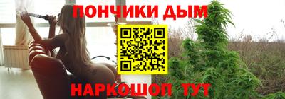 индика Гатчина