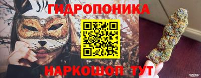 индика Гай