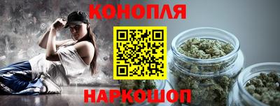индика Гай