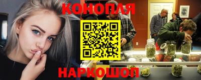 индика Гатчина