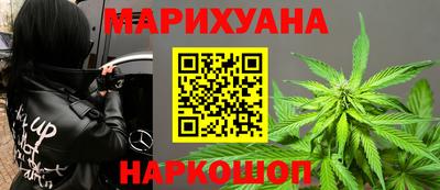 индика Гатчина