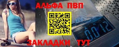 индика Гатчина